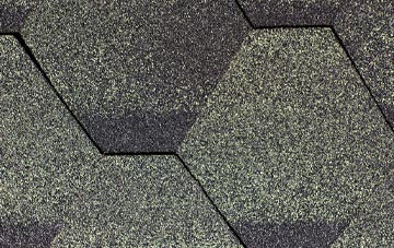 Winterbourne Abbas fibreglass shingle repairs