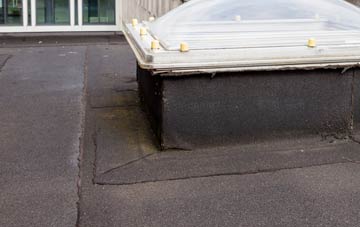 disadvantages of Winterbourne Abbas flat roofs