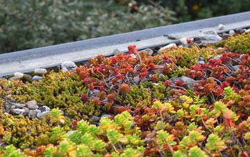 the cost of Winterbourne Abbas green roof installation