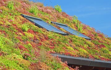 Winterbourne Abbas living roof systems