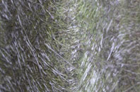 Winterbourne Abbas fibreglass roof work